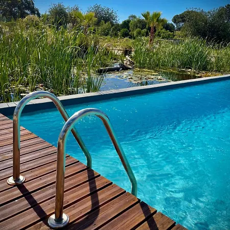 La Palms Villa